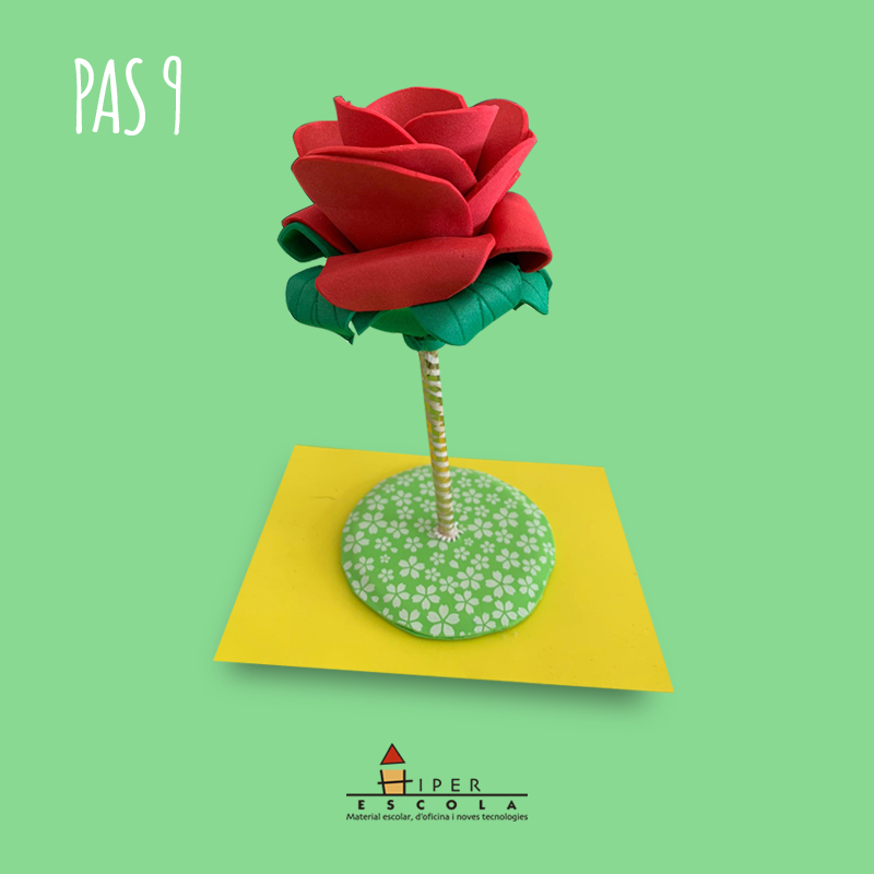 Pas 9 - Rosa Goma Eva Sant Jordi