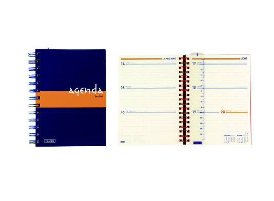 Mini Agenda Institut