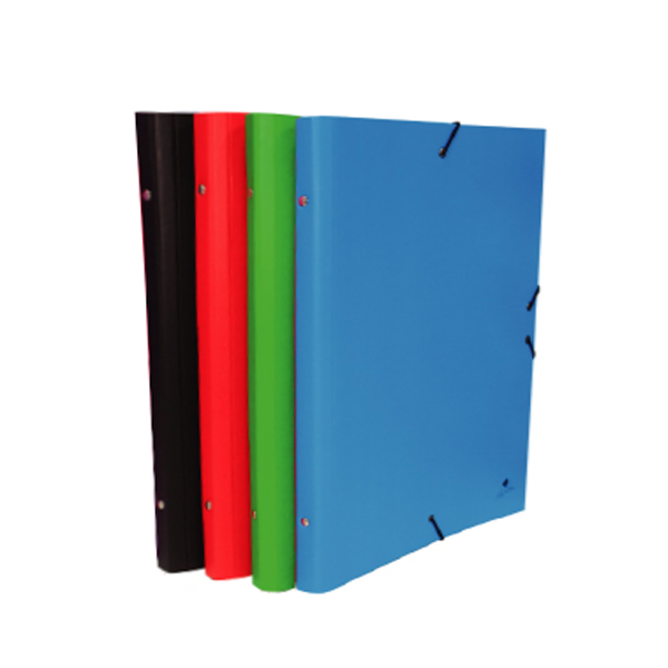 Carpeta classificadora Foli prolongat