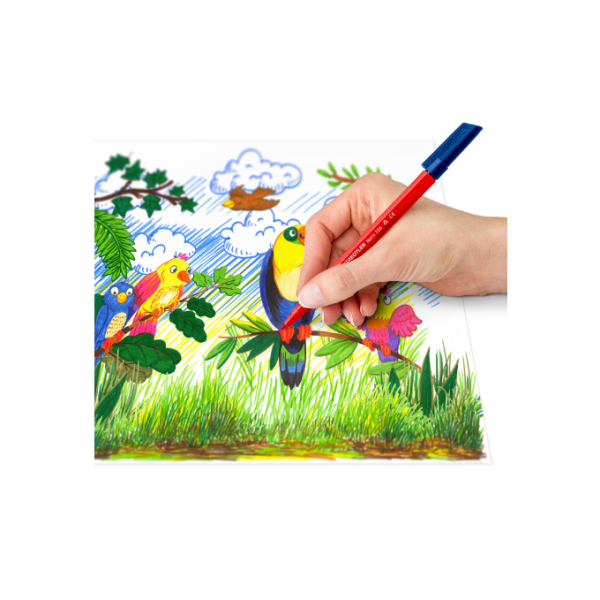 Retoladors Staedtler Noris 326