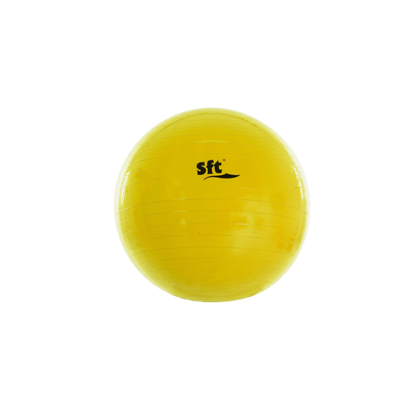 Pilota Softee gegant 55 cm