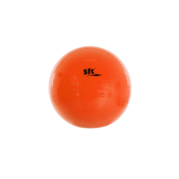 Pilota Softee gegant 55 cm