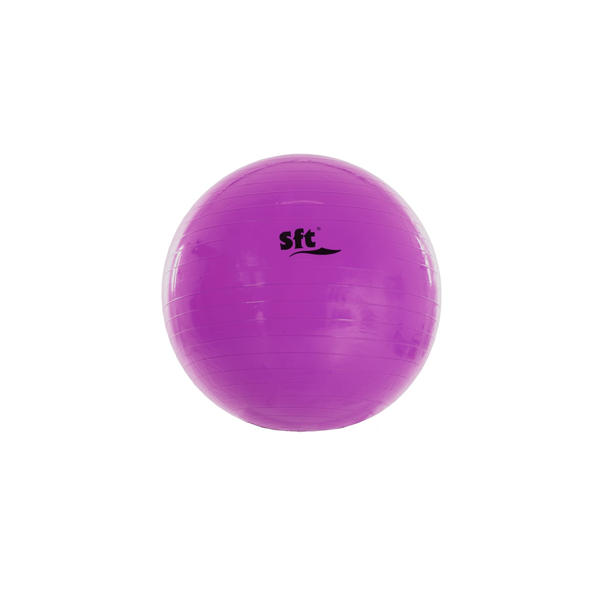 Pilota Softee gegant 55 cm