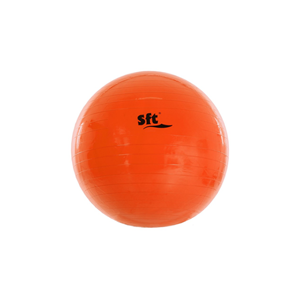 Pilota Softee gegant 65 cm