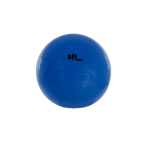 Pilota Softee gegant 65 cm