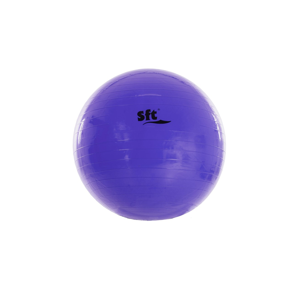 Pilota Softee gegant 65 cm