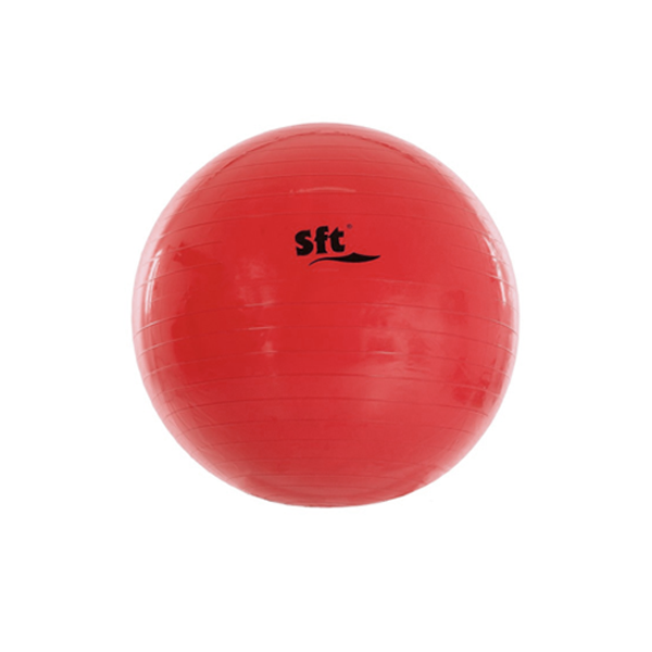 Pilota Softee Flexi gegant 85 cm