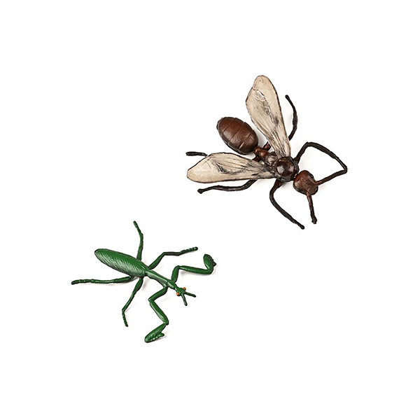 Insectes 12 figures