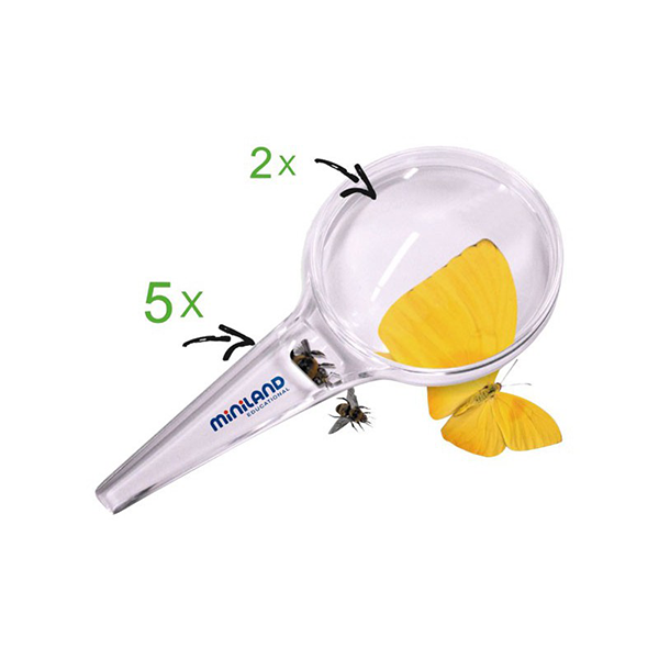 Lupa 80 mm