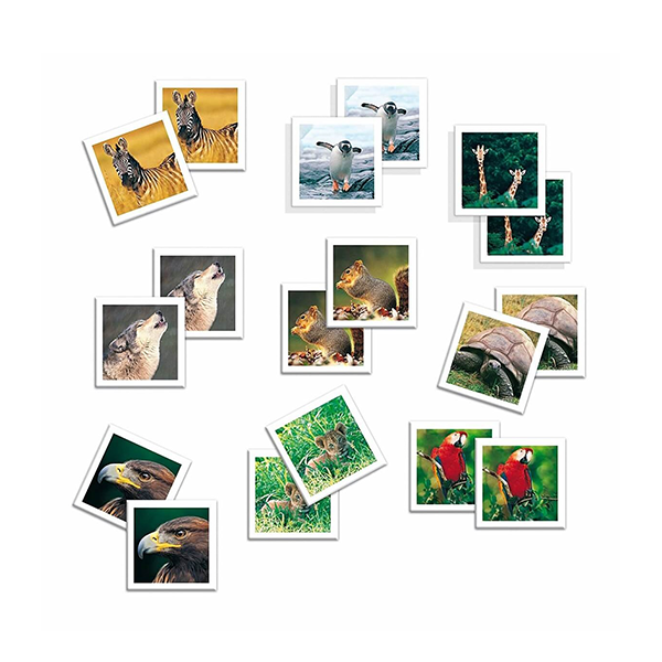 Memo photo animals