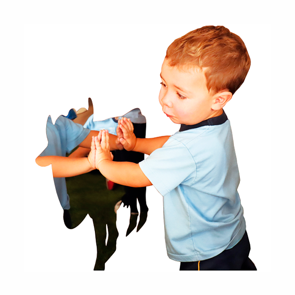 Espejo animales