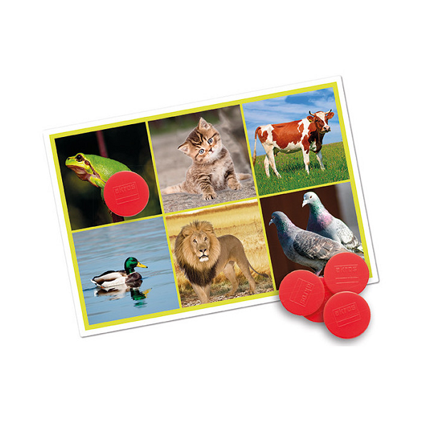 Bingo: Los animales y la naturaleza