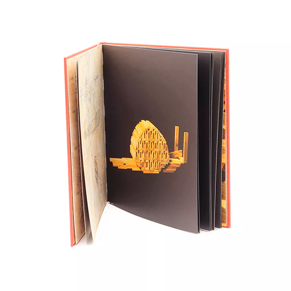 Llibre KAPLA construccions nivell mitjà