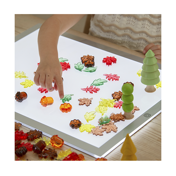 Fulles i llavors de colors translúcids