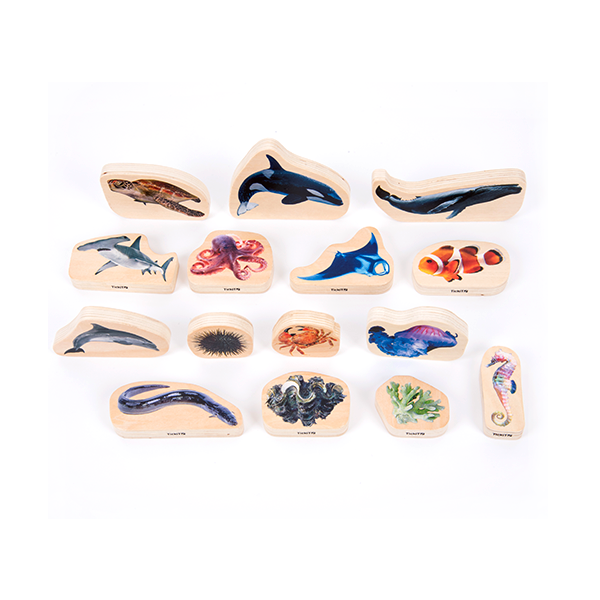 Lot 15 blocs fusta animals marins