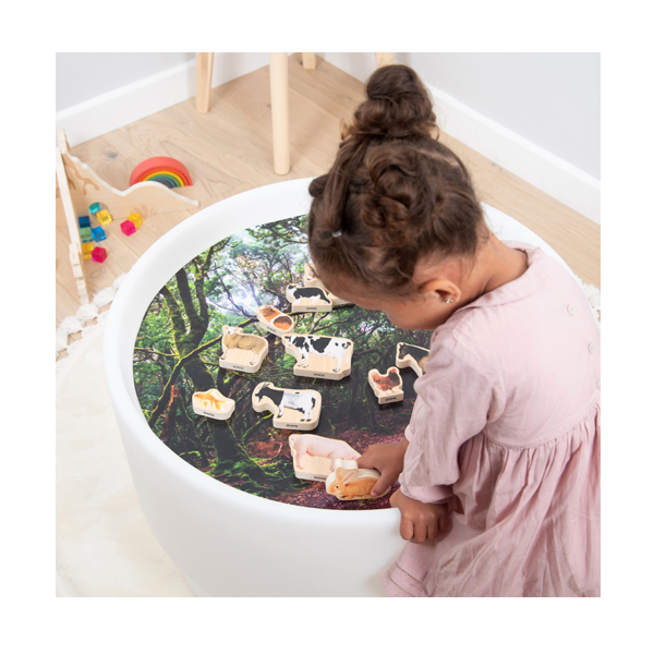 Lot 15 blocs de fusta animals domèstics