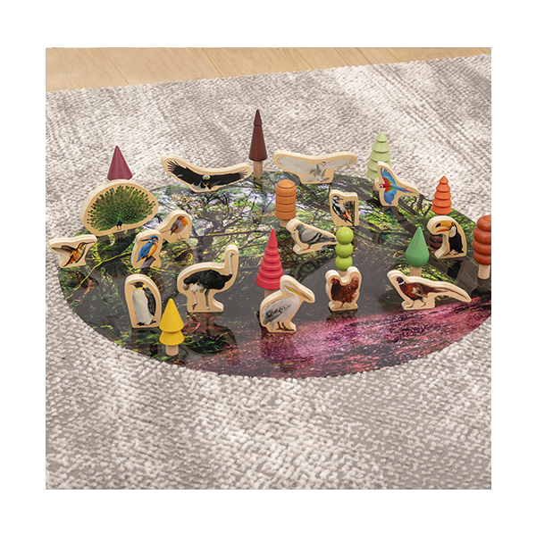 Lot15 blocs de fusta d'ocells