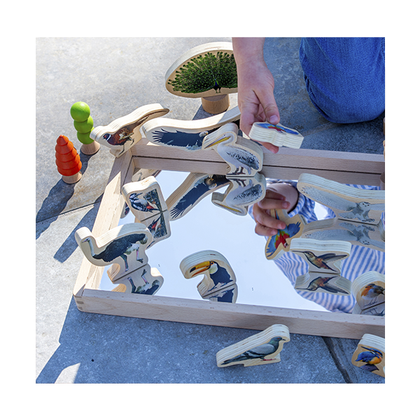 Lot15 blocs de fusta d'ocells