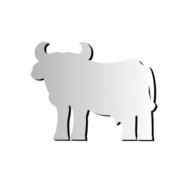 Espejo animales