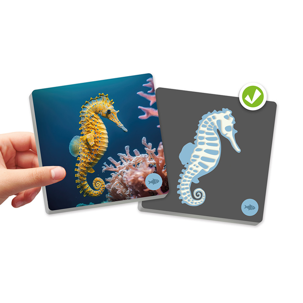 Maxi Memory Animals vertebrats i el seu esquelet