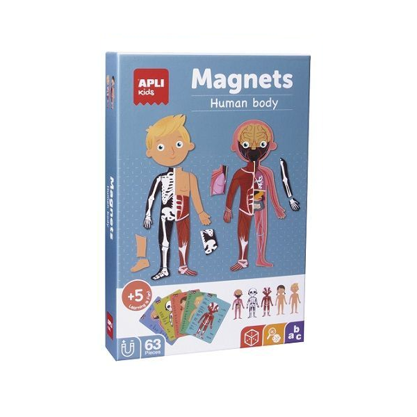 Magnets el cos humà
